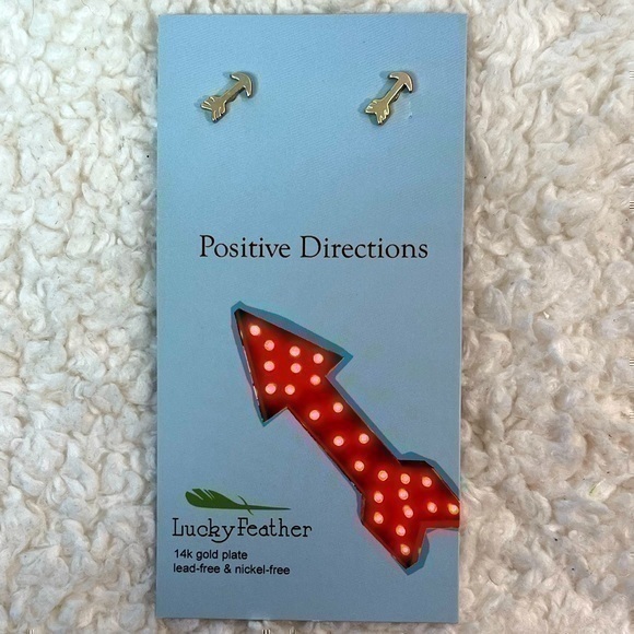 Lucky Feather “Positive Directions” Earrings - Picture 1 of 3